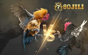 80JILI